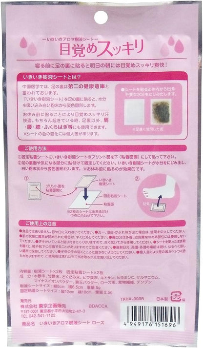 TO-PLAN Revitalizing Aromatic Tree Sap Detox Foot Sheet